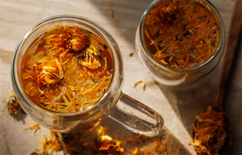 Calendula herbal tea in two glass cups on wooden tray. There are dried calendula flowers on the tea. There are calendulas scattered around. Double wall glass. Shot with Canon EOS R5.