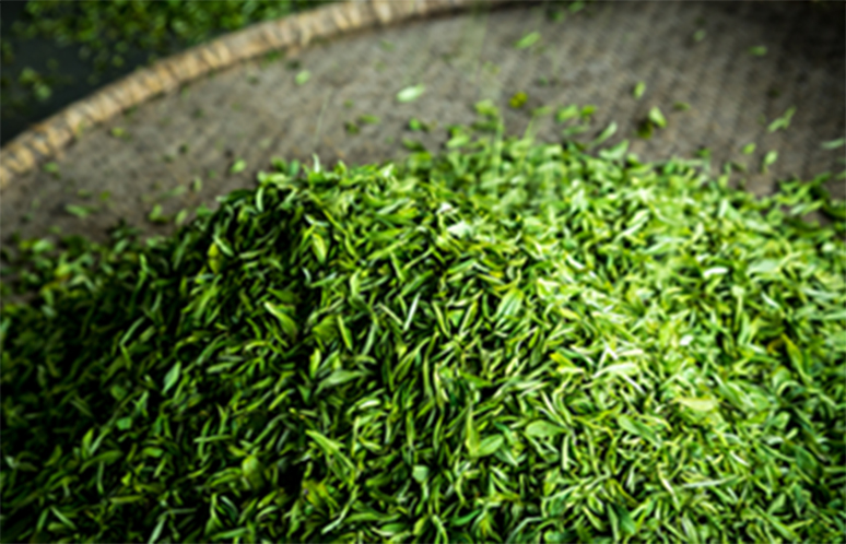 Green tea in a flat round split bamboo basket at Meijiawu of Hangzhou.