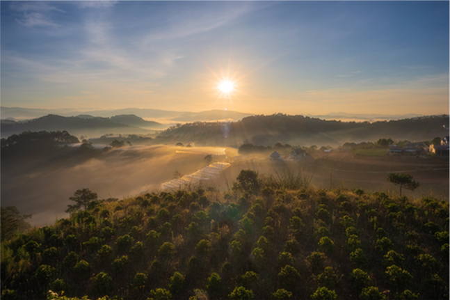 Sunrise on coffee farm hill in a foggy morning, Da Lat city, Lam Dong province, central highlands Vietnam